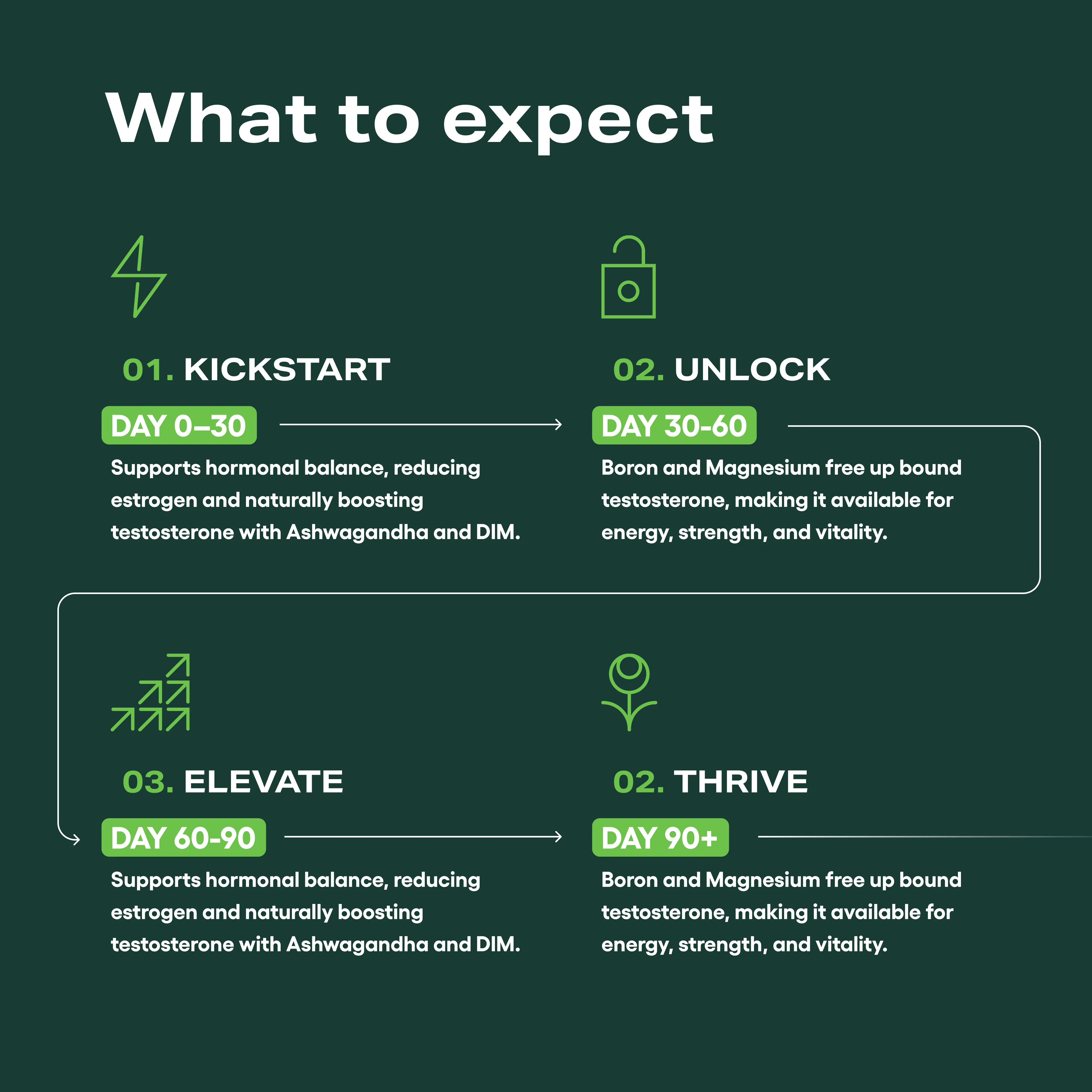 Testosterone Support Complex - Image 5